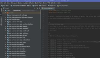 軟件開發(fā)的多元化領域及其發(fā)展趨勢